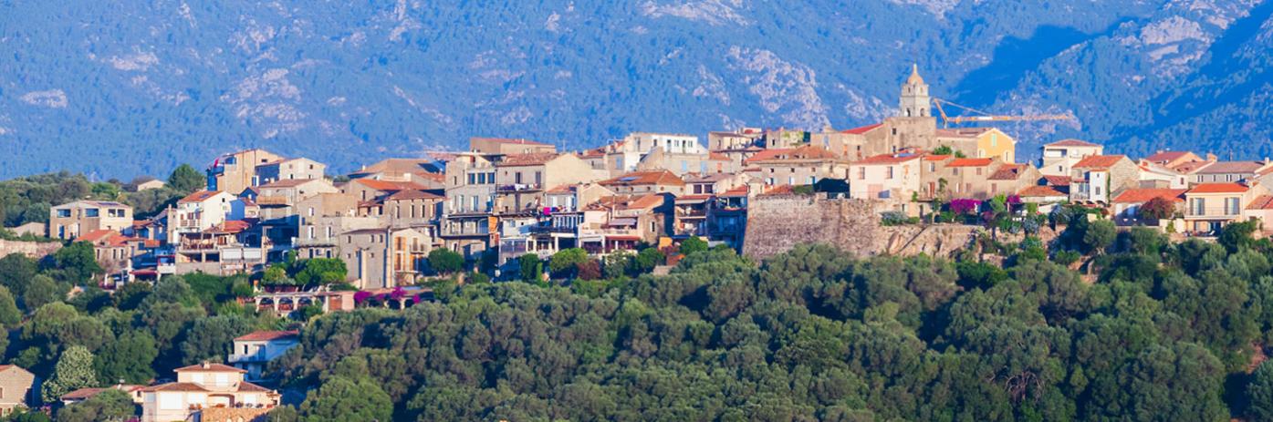 A city on a hill, full of bright buildings and green trees.