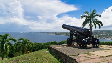 An antique canon stands at command over a hill with palm trees and water in the distance.