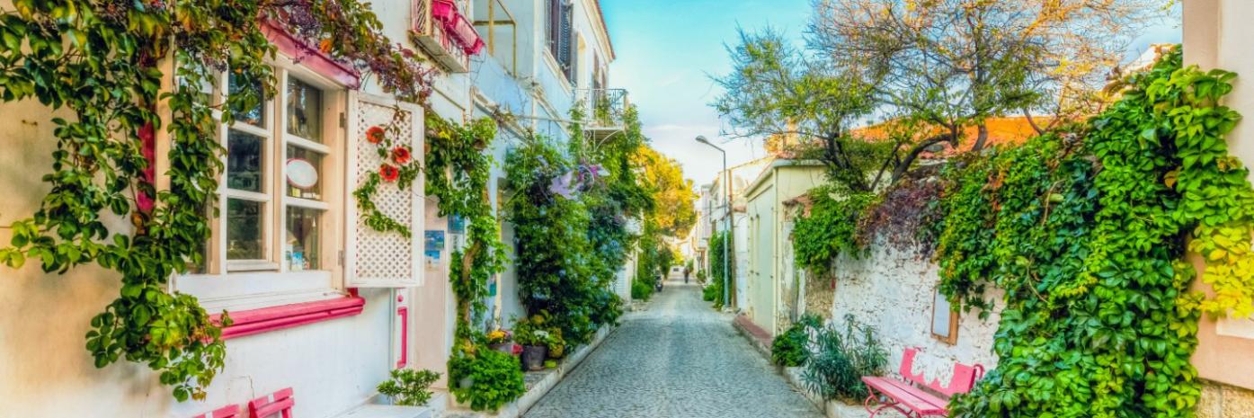 A small street between two buildings, lined with greenery.