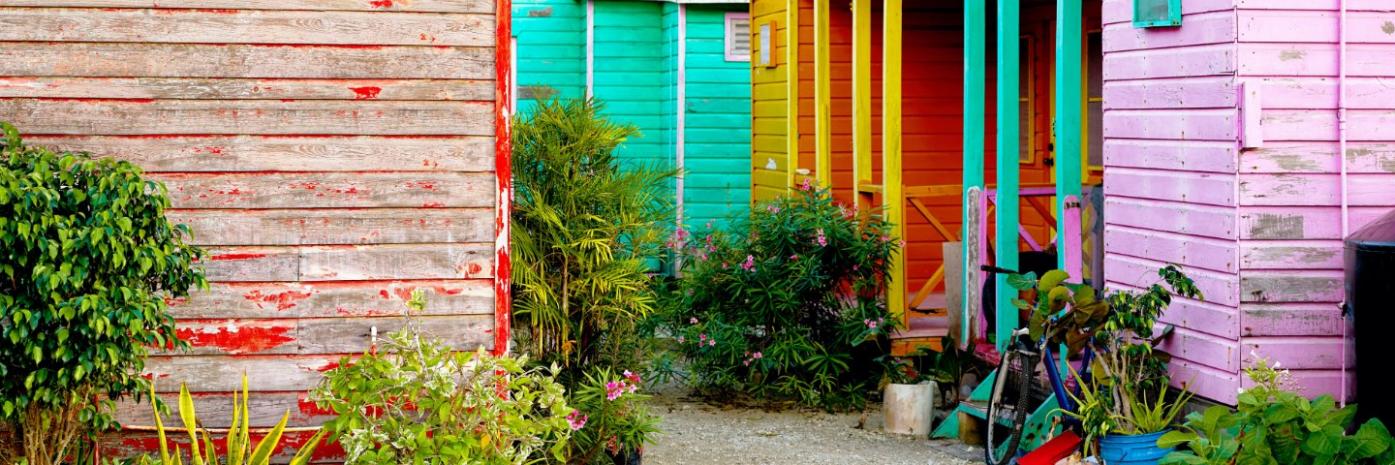 Colorful houses with green plants.