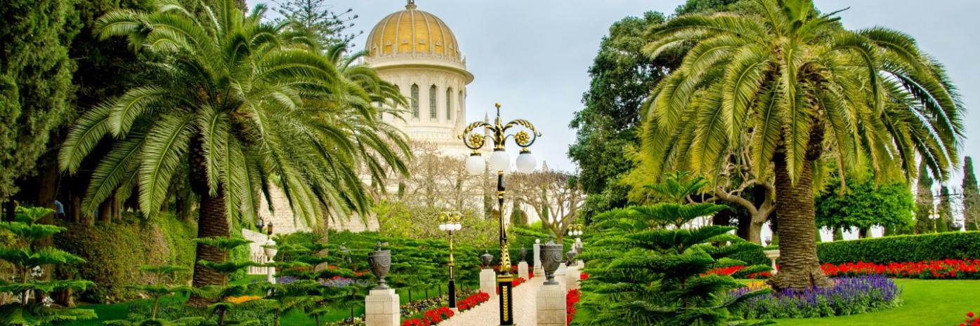 A pathway down a garden with palm trees and a building ahead.