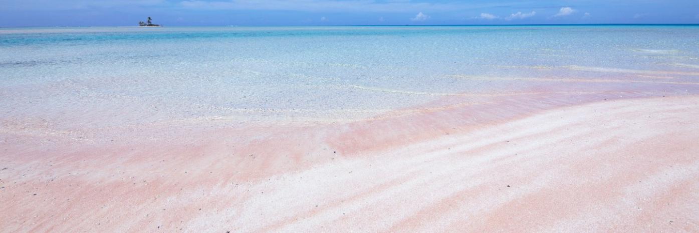Pink sand beach with waves washing ashore.