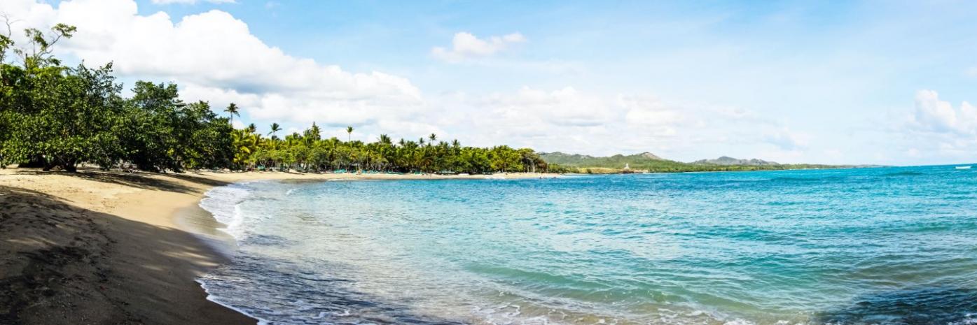 Blue water washes up against the sandy beach, surrounded by trees.