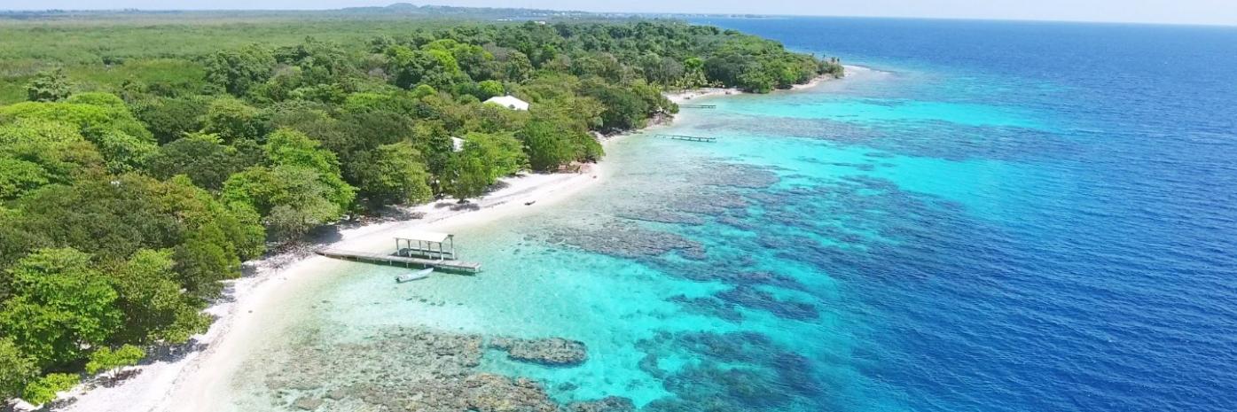 Shades of blue and green swirl in the ocean water washing up against the white sand beach.