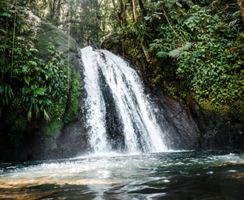 excursion filler image 1