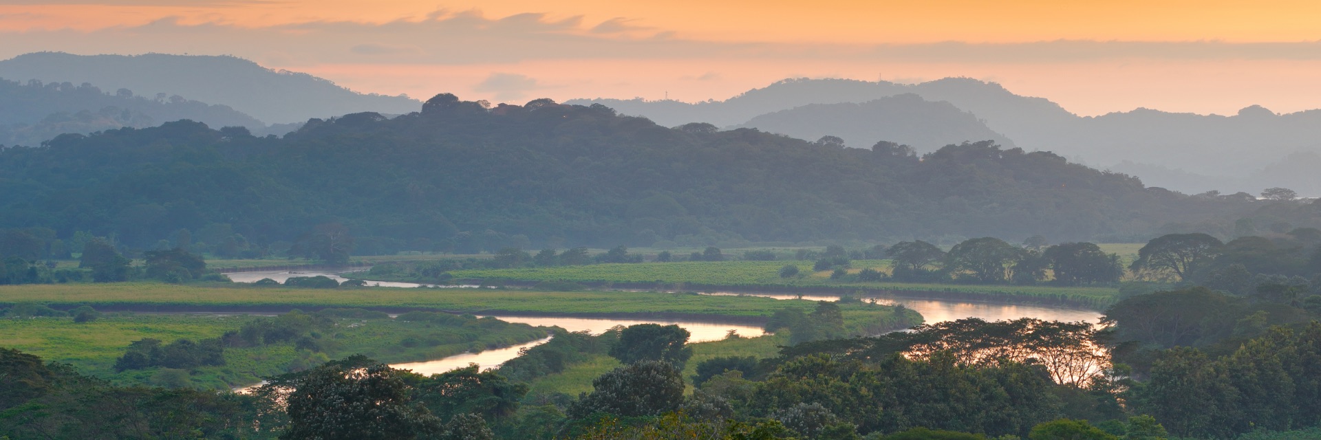 Sun setting over mountains through lush trees and a pink and purple sky.