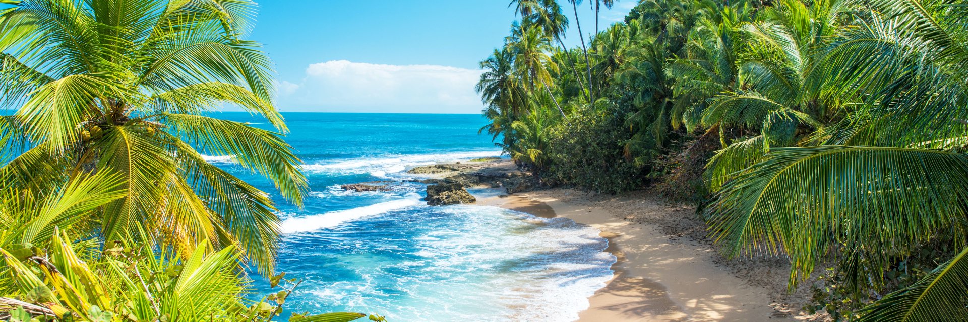 A tropical beach with a palm trees lining the shore.