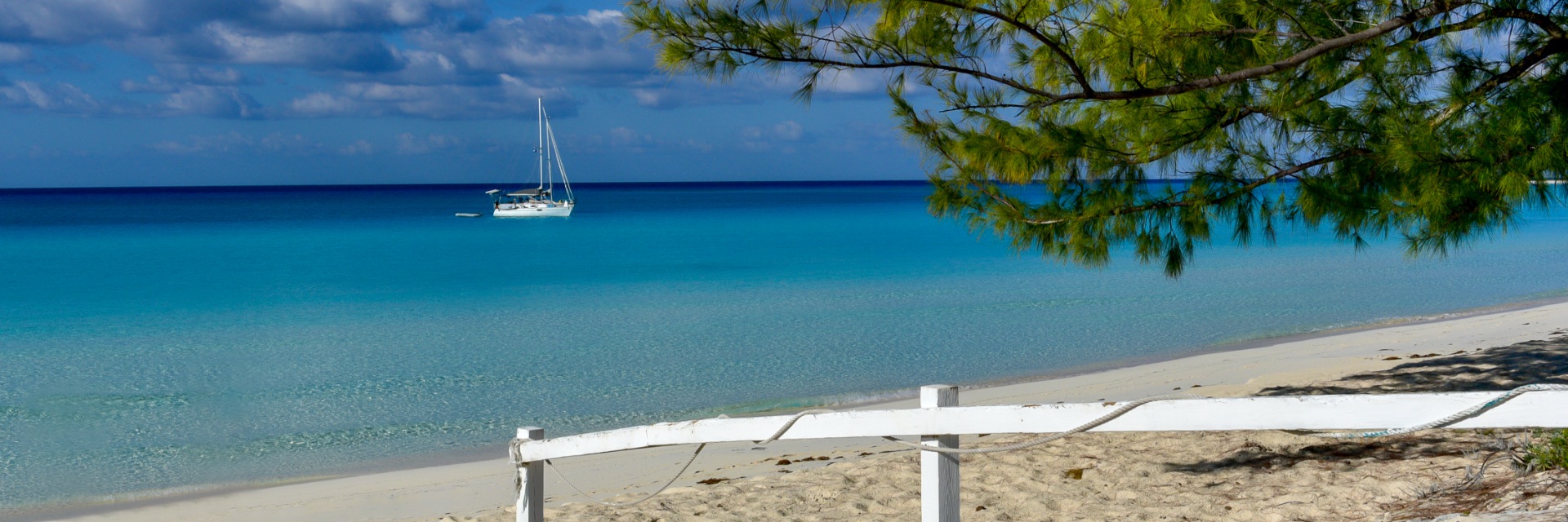Bright blue water washes up on the sand behind a white fence and tree.