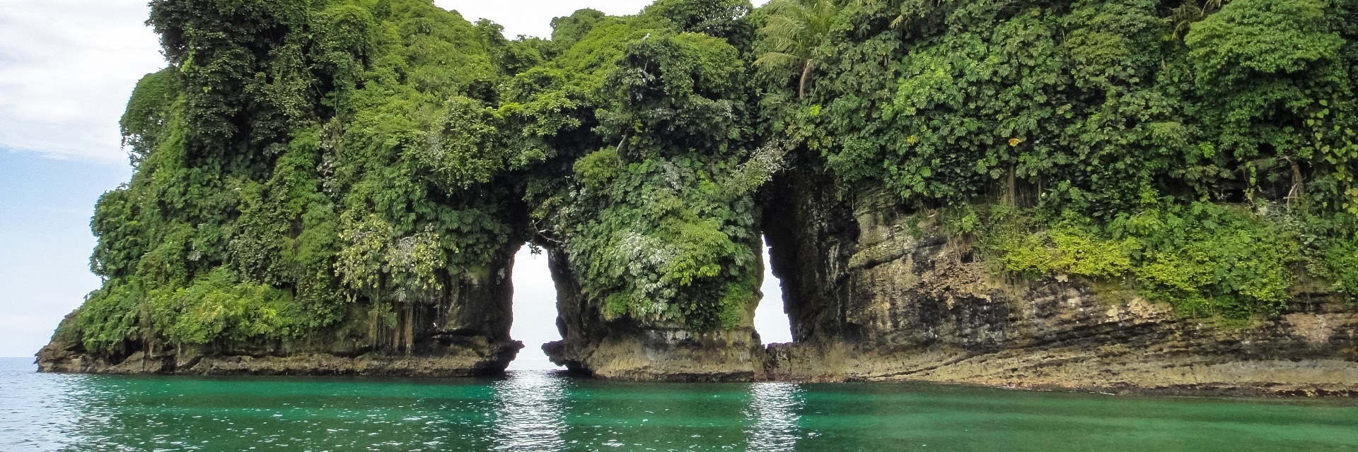 A view of natural rock archways covered in lush greenery.