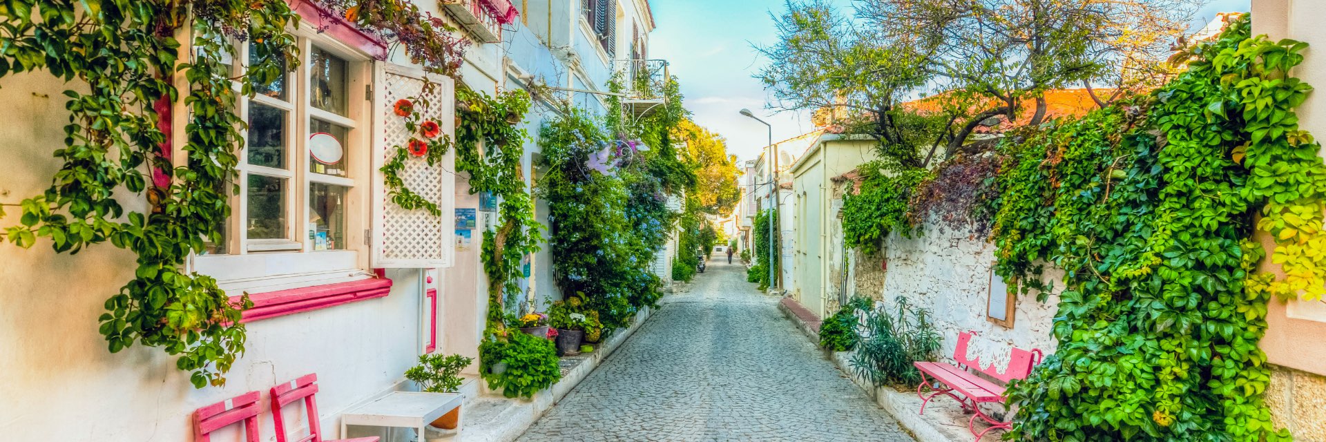 A small street between two buildings, lined with greenery.