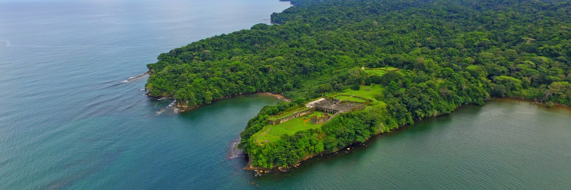 A dense green island surrounded by water.