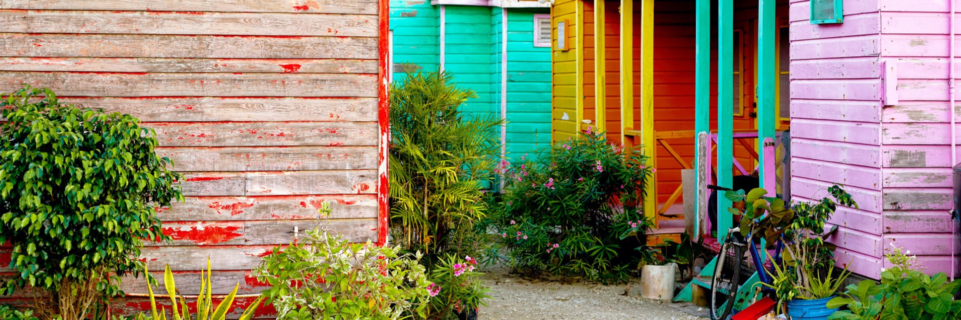 Colorful houses with green plants.