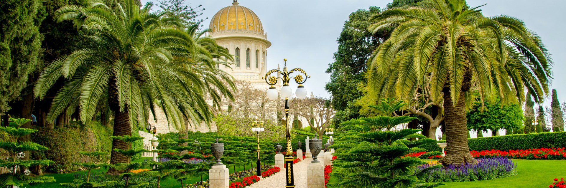A pathway down a garden with palm trees and a building ahead.