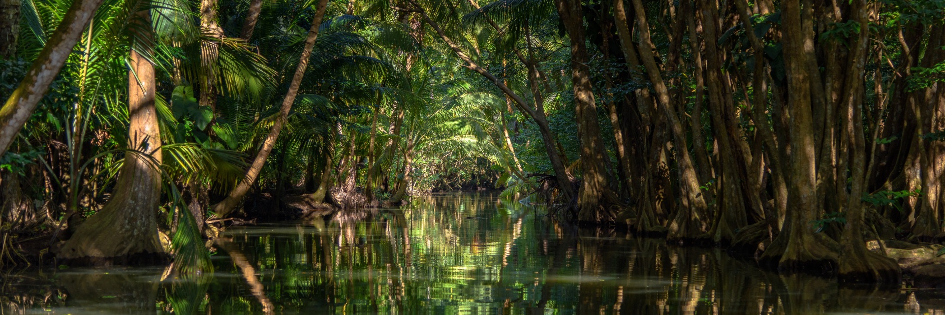 Trees line the shaded waterway.