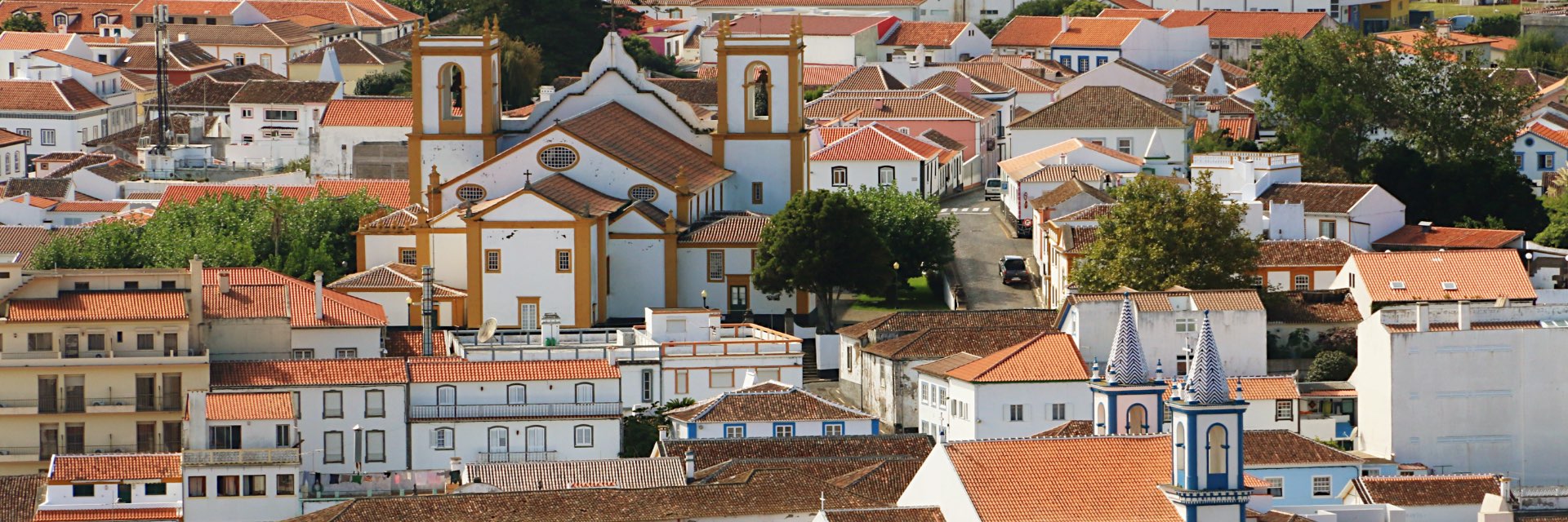 Panoramic view of a city with white buildings and red roofs.
