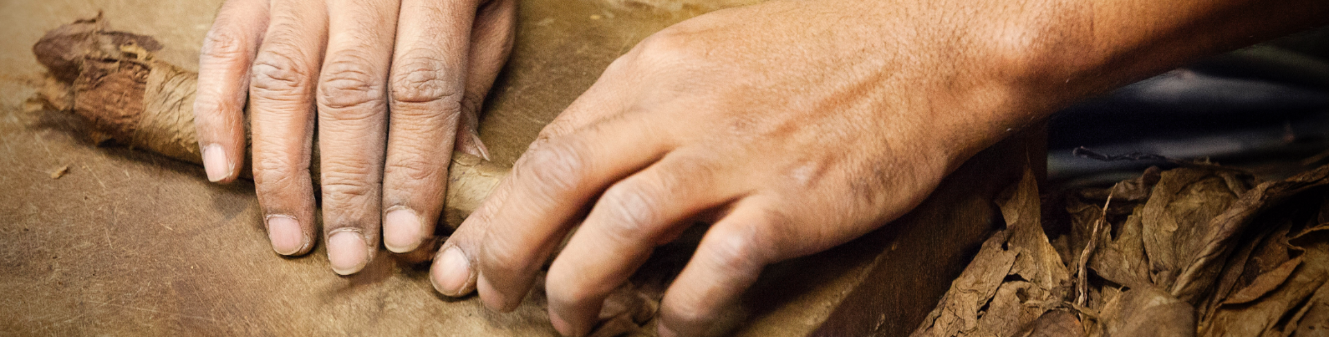 A man who's making a cigar.