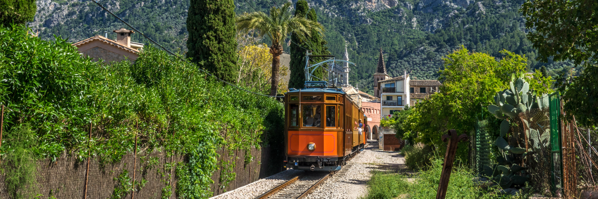 An orange train pulls into station surrounded by lush greenery.
