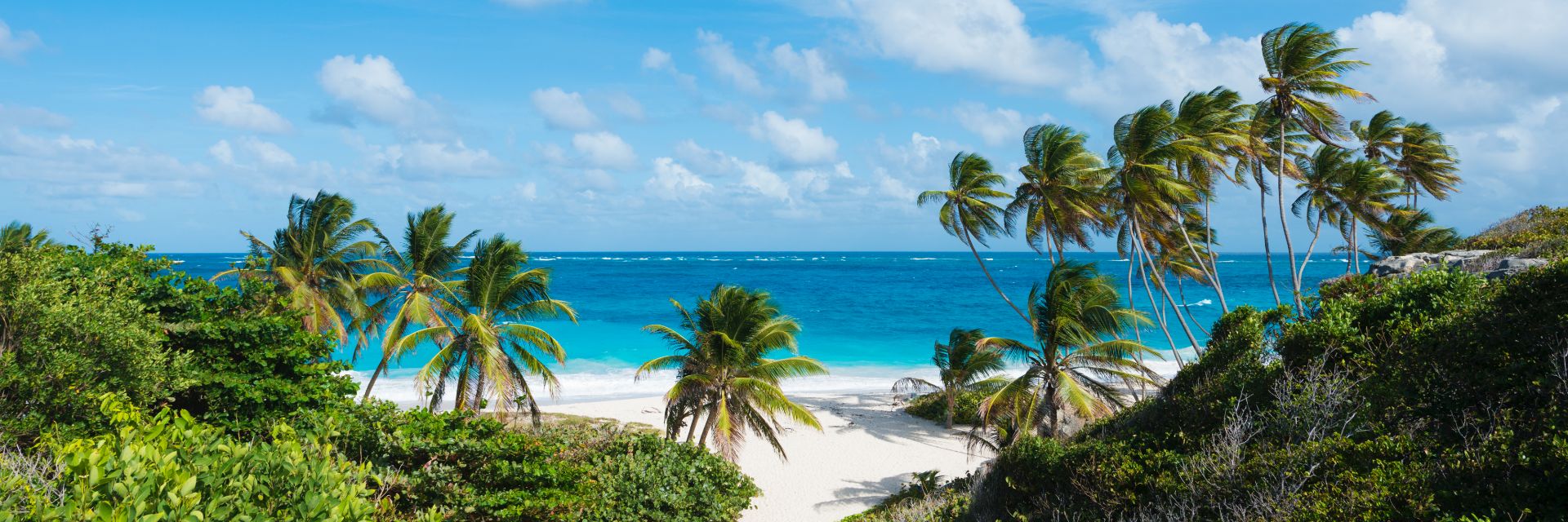 A view of the Caribbean Sea from the white sand beach with several palm trees in the foreground.