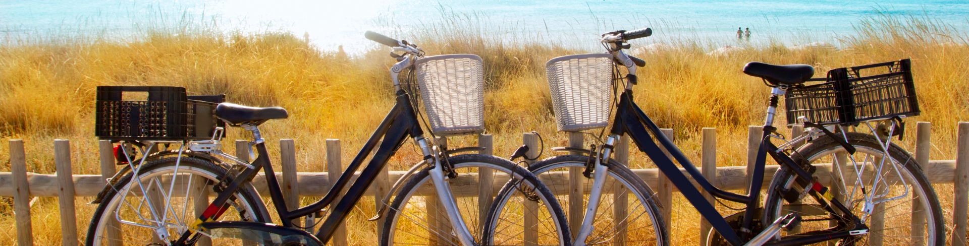 Two bicycles leaning against the fence on a country road overlooking the sea.