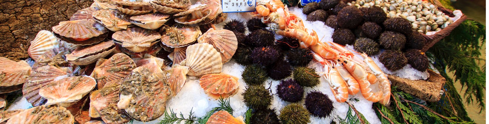 Clams, urchins, shrimp and other seafood on display at a market.