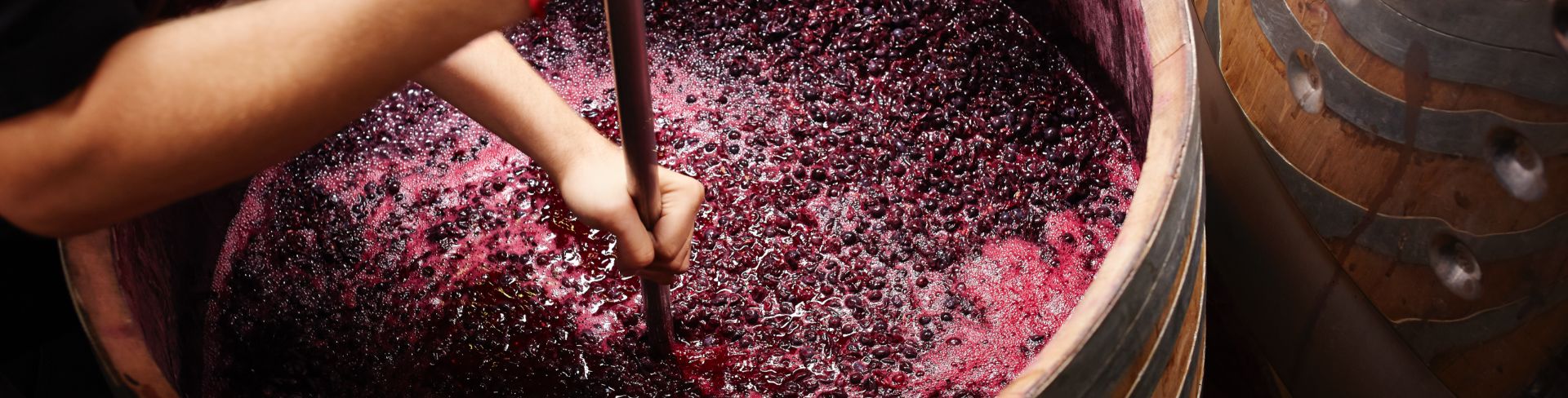 Someone stirs a barrel full of red wine and grapes.