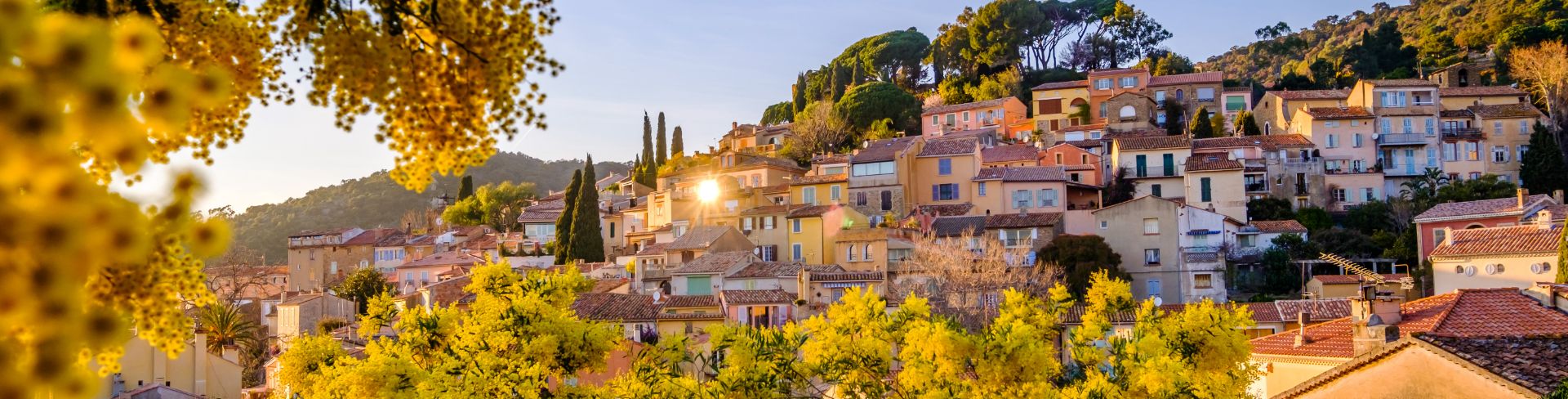 Trees with yellow flowers in the foreground with colorful buildings situated on a hill in the background.