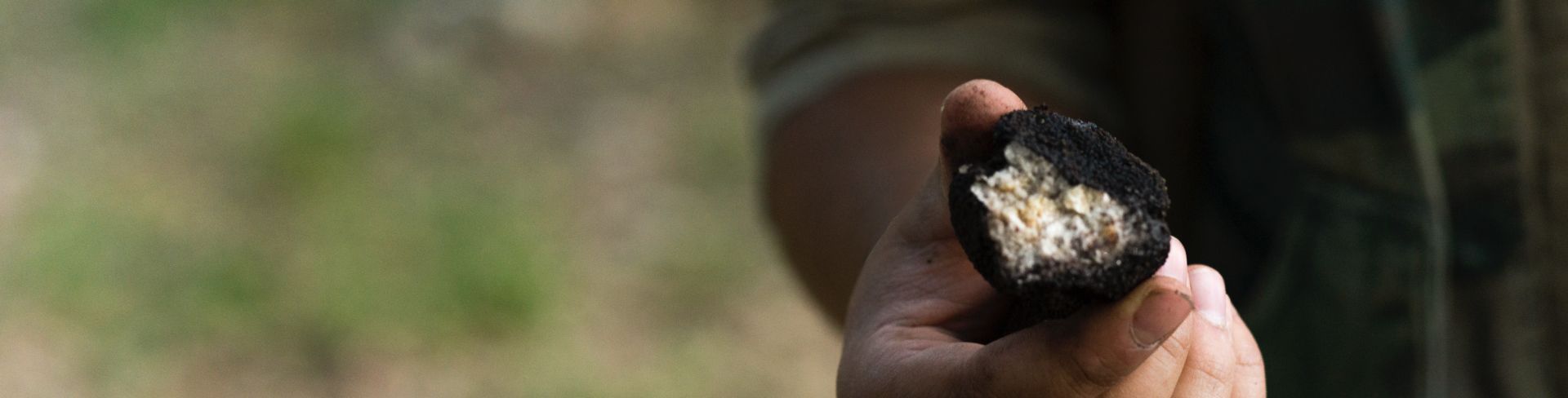 A hand holding and showing an open black truffle.