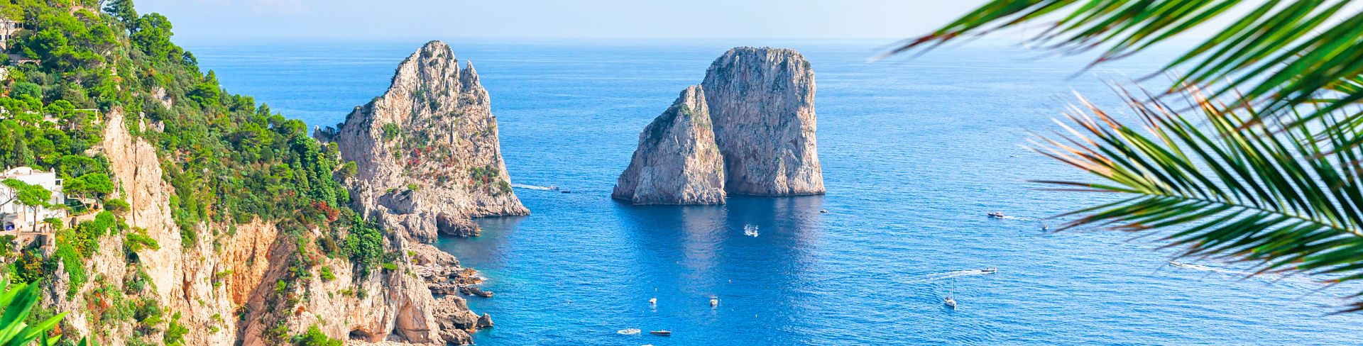 The view of the Faraglioni cliffs off the coast of Capri with green foliage in the foreground.