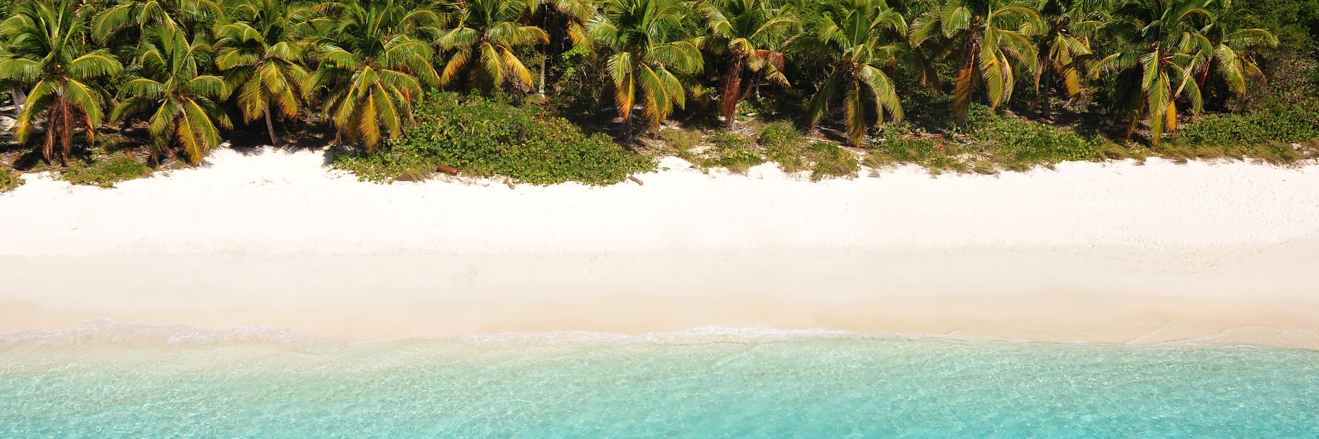 Lush vegetation leads to a white sandy beach, with gentle blue waves crashing ashore.