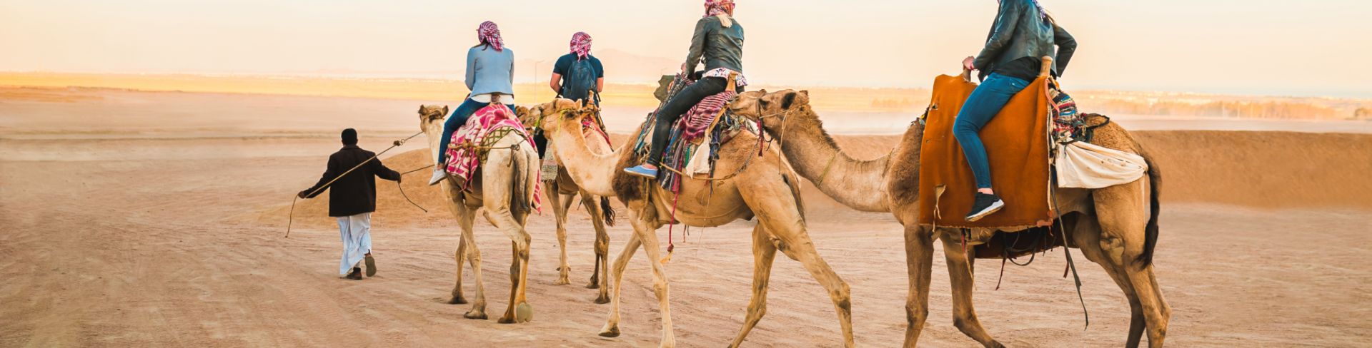 Four camels in the desert walk among sand dunes carrying people.