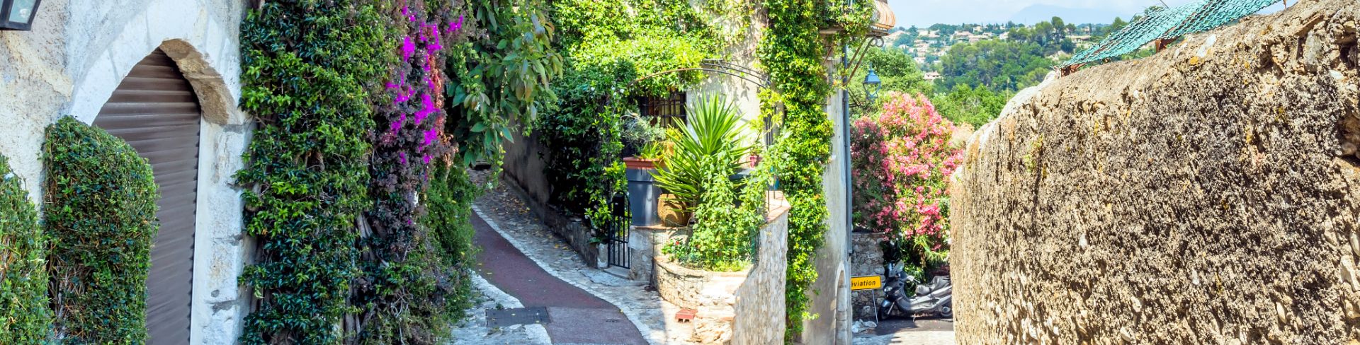 A pedestrian alleyway in Monaco where the homes are covered in lush green vines and plants.