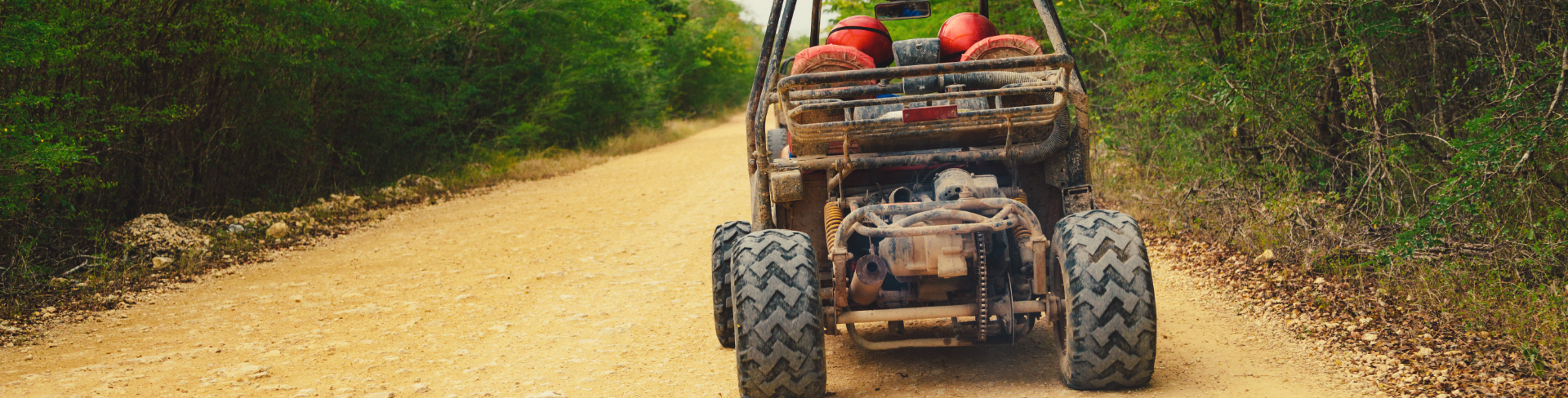 An ATV driving away on a dirt road in the forest.