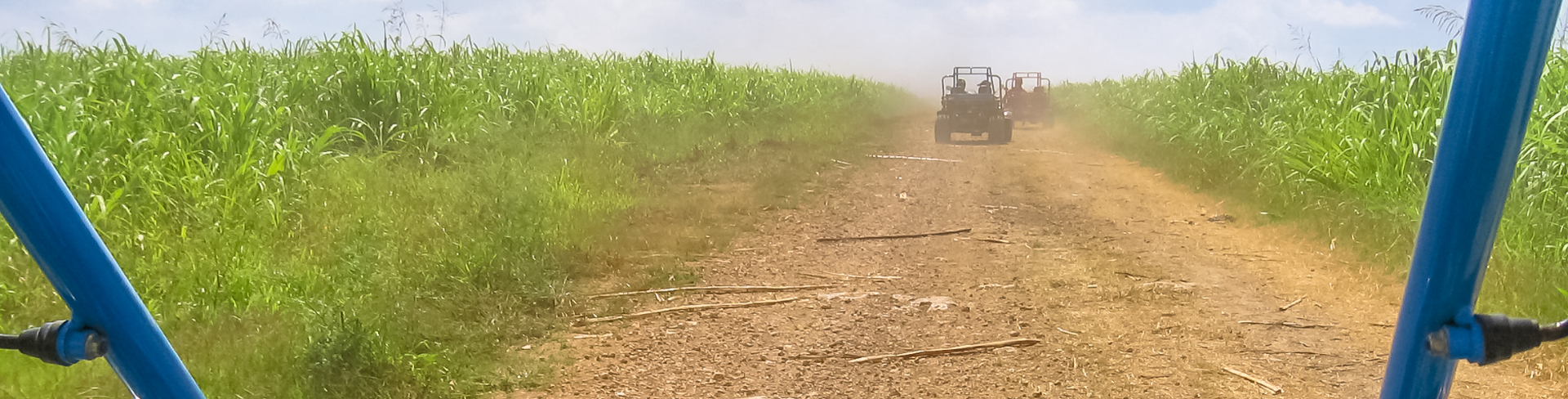 A country road is seen from a cockpit of a Buggy vehicle.