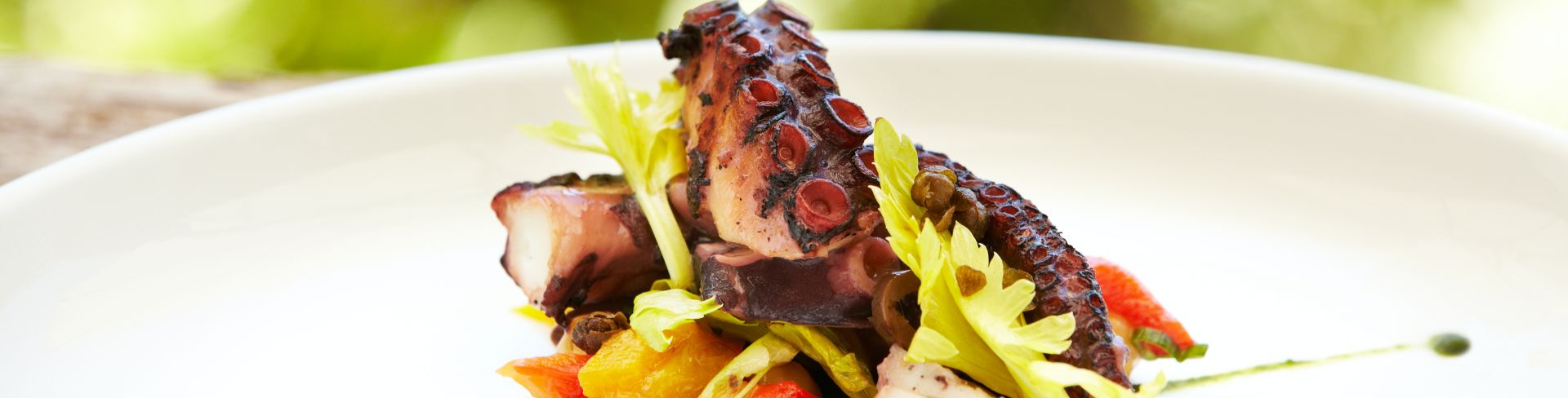 A colorful plate of prepared octopus.