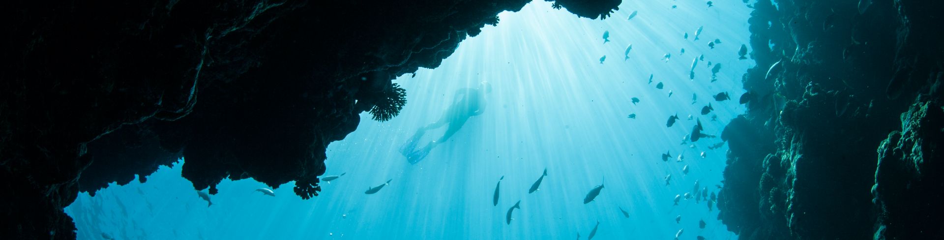 A swimmer enjoys the blue waters floating above a school of fish.