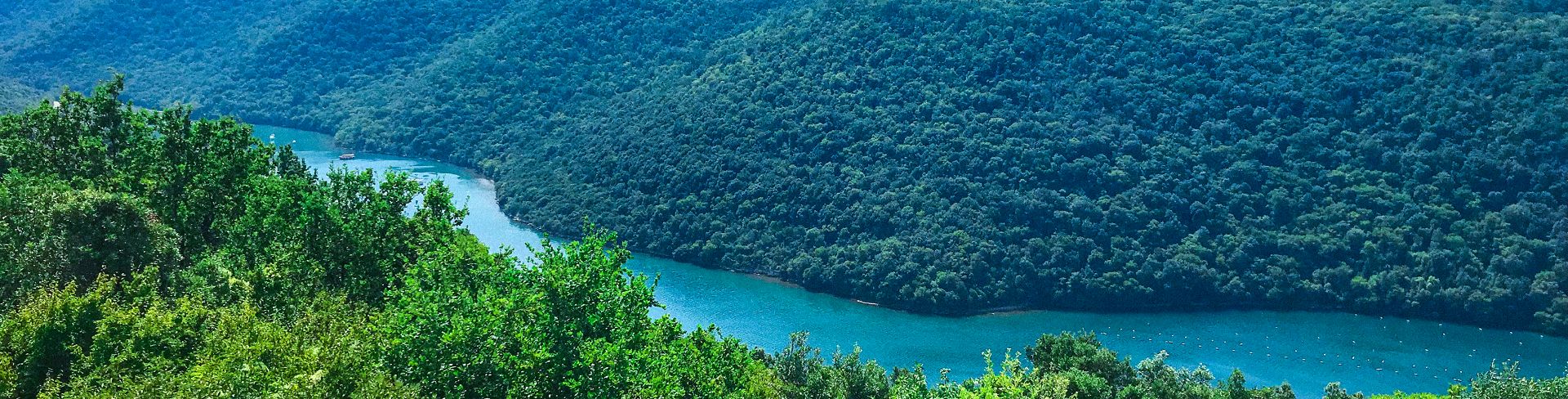 A blue river snakes through green forest-filled mountains.