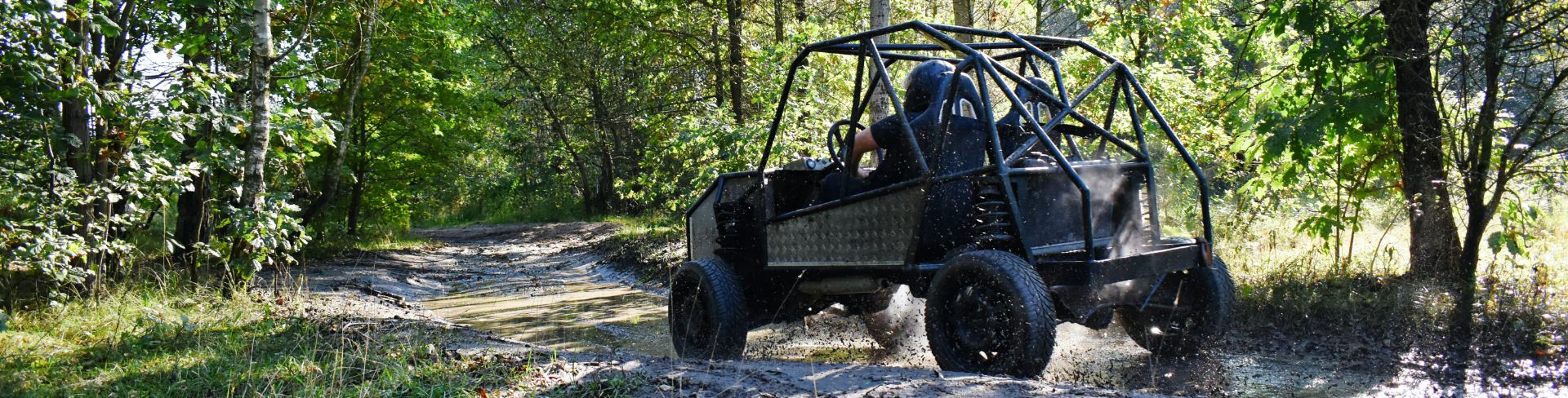 A buggy drives on a dirt road through green trees.