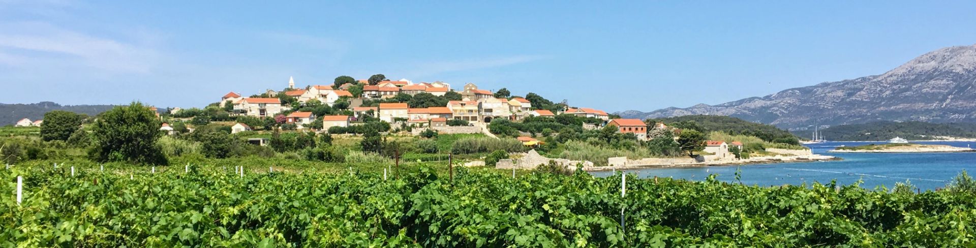 A vineyard sits next to the water, with a town on a hill in the distance. 