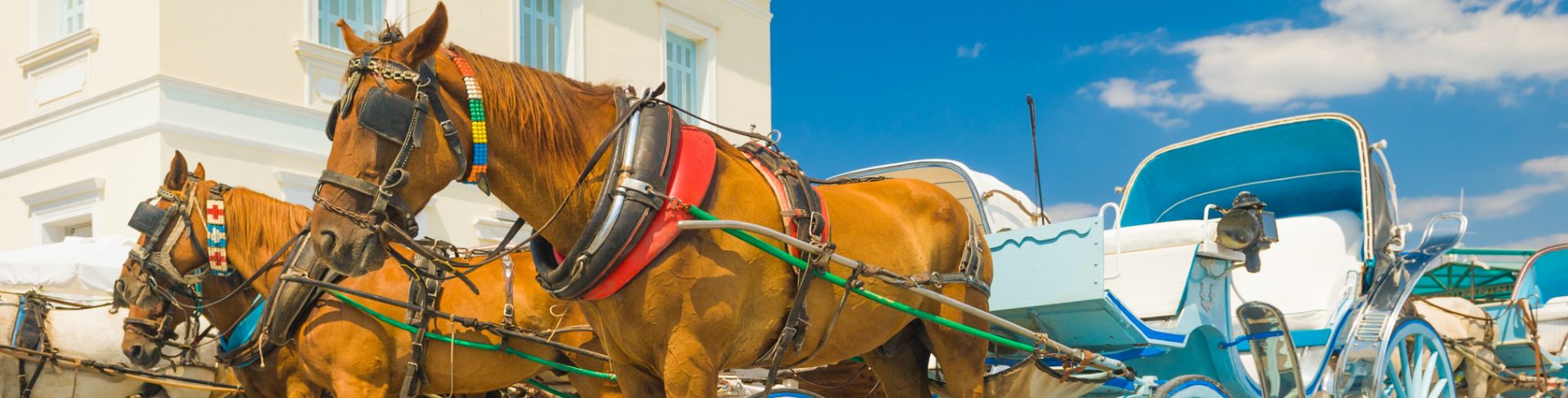 A row of horse drawn carriages in Spetses, Greece.