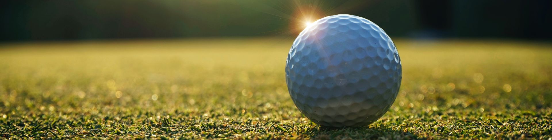 A golf ball on the edge of the cup on the putting green.