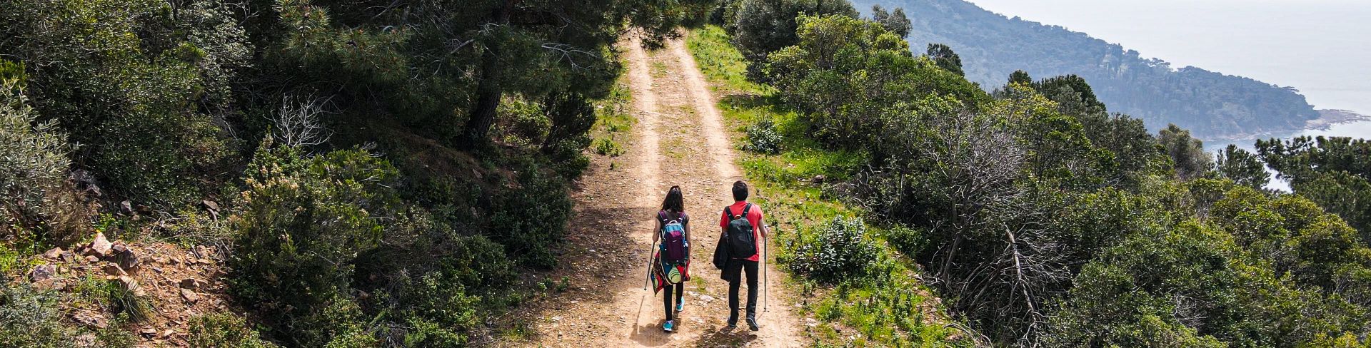 The aerial view of a couple walking up a forested hiking path overlooking the sea.