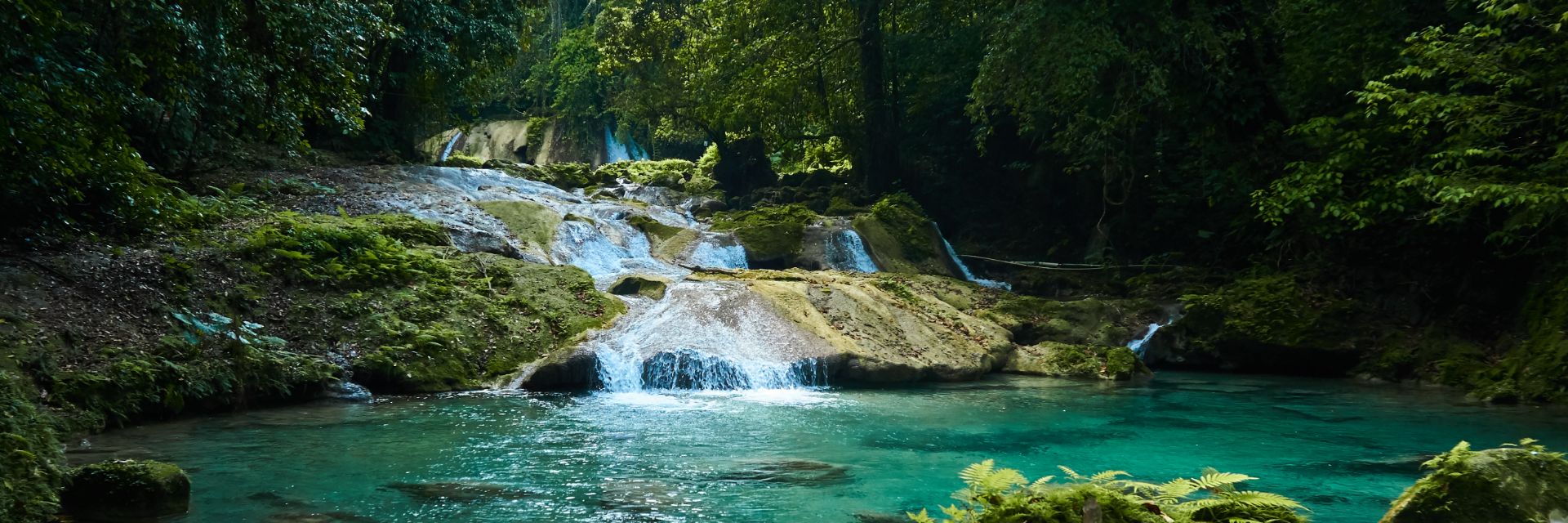 A series of small waterfalls cascade into a pool of blue water in the jungle of Jamaica.