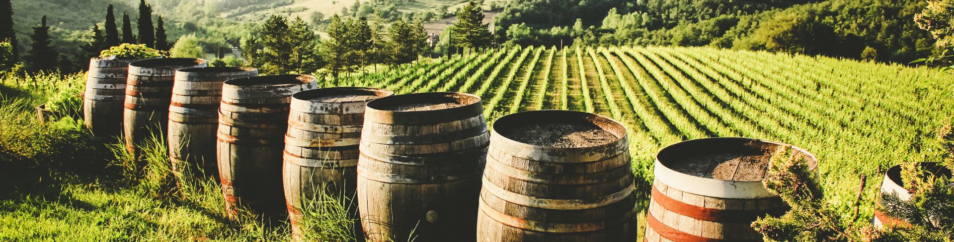 Barrels next to a vineyard on the countryside of Alghero, Italy. 