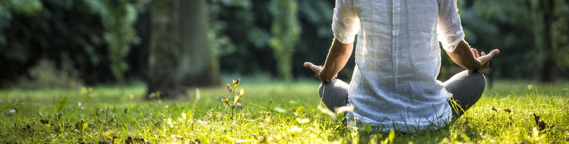 A woman wearing a white shirt meditating on the grass around trees.