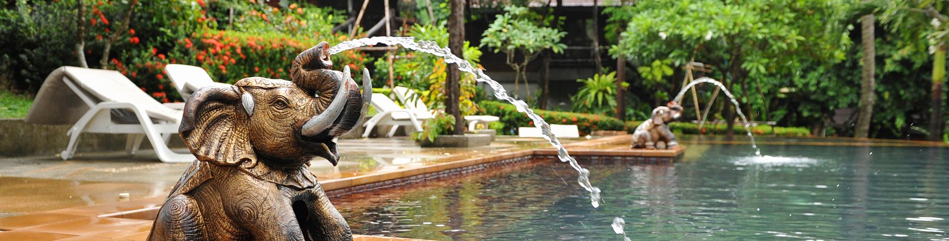 An elephant water feature at a luxury outdoor swimming pool.