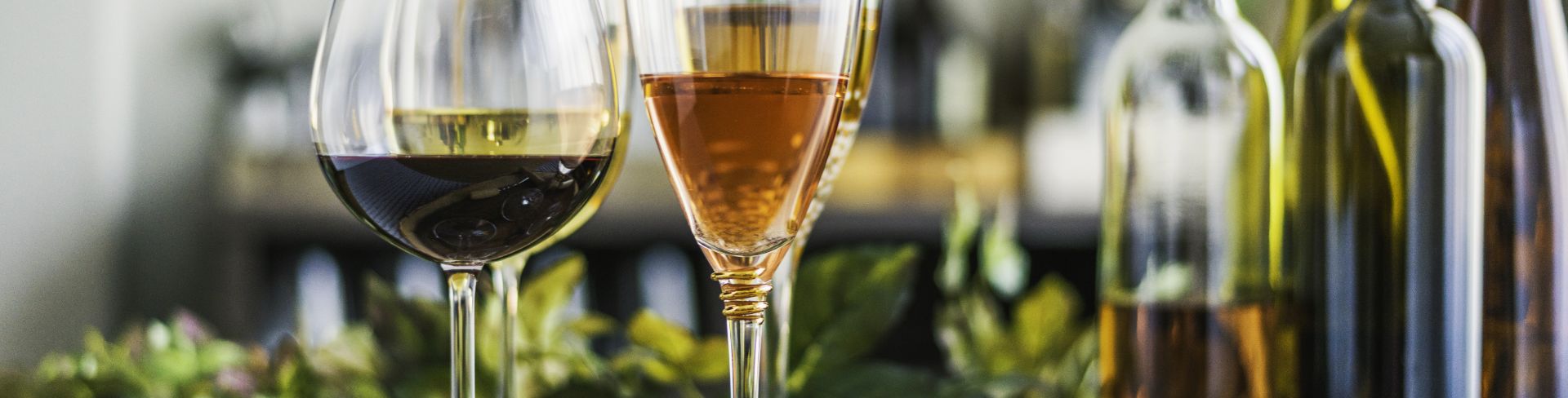 An indoor wine tasting featuring a variety of wine glasses on the table.