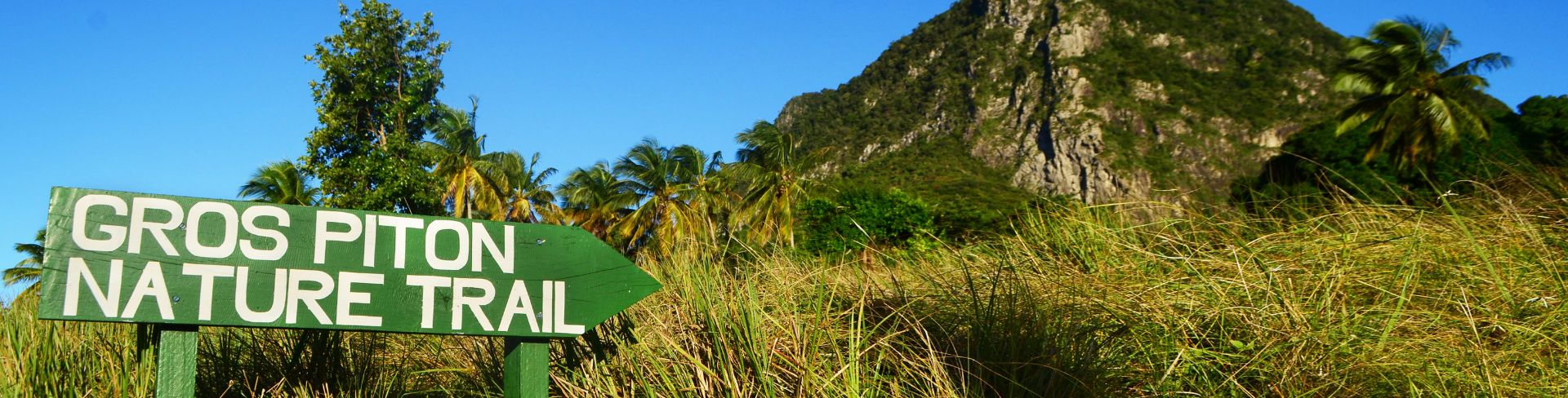 Iconic Gros Piton Hike and Plantation Lunch