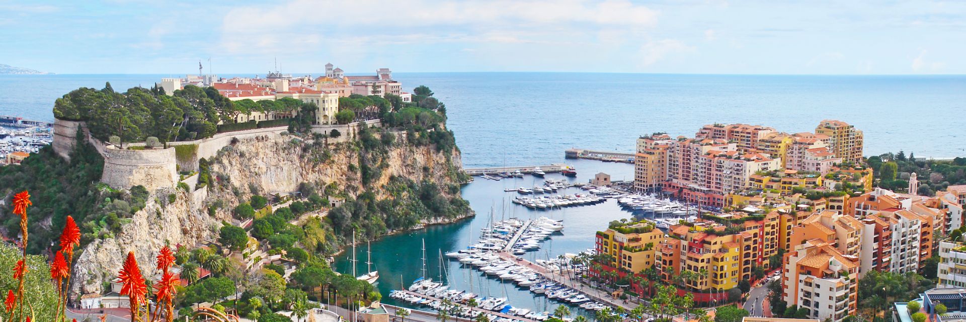 Monte Carlo