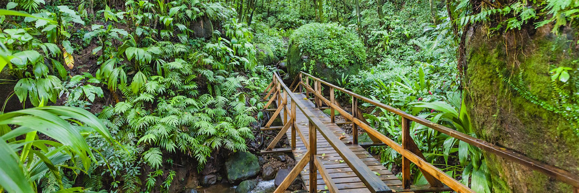 A bridge in the forest of Chateaubelair.