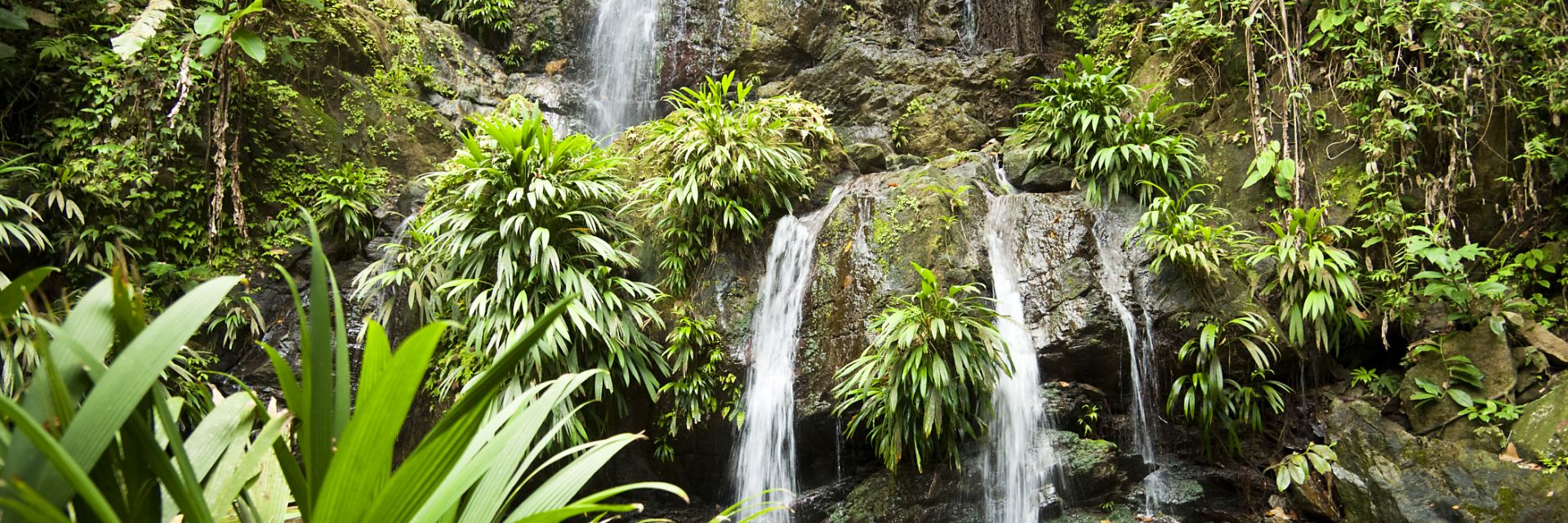 A waterfall in Scarborough. 